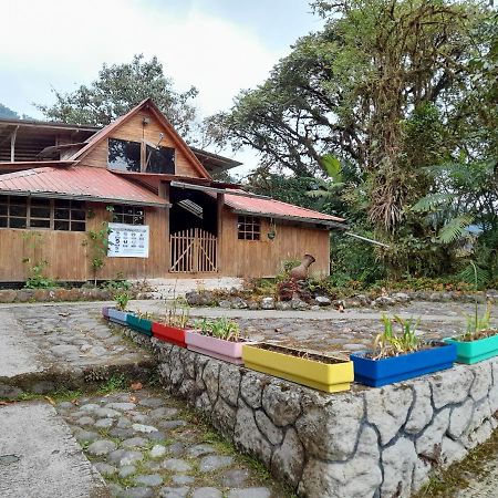 Mindo Loma bird lodge Dış mekan fotoğraf